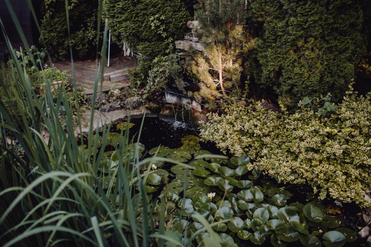 Vila Missy Deva Buitenkant foto
